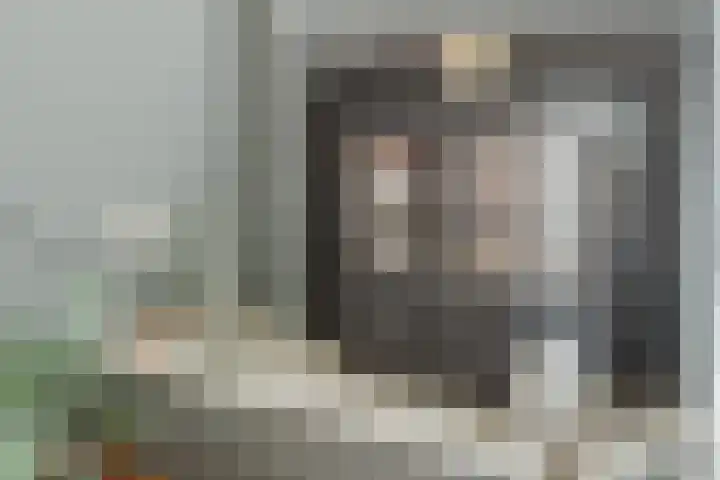 Aanstee 18 Klein Zundert thumbnail 17