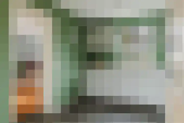 Aanstee 18 Klein Zundert thumbnail 19