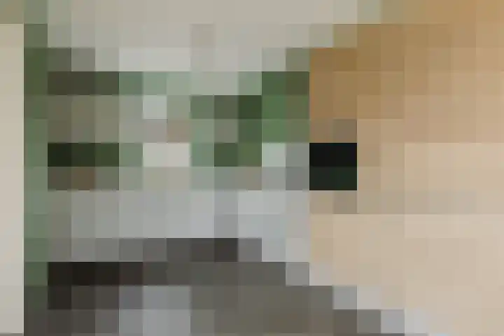 Aanstee 18 Klein Zundert thumbnail 20