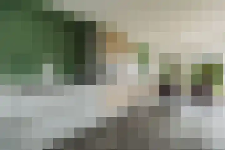 Aanstee 18 Klein Zundert thumbnail 22