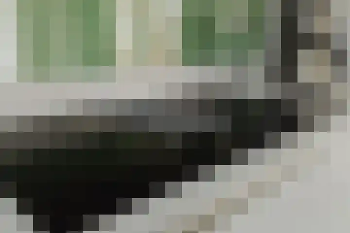 Aanstee 18 Klein Zundert thumbnail 23
