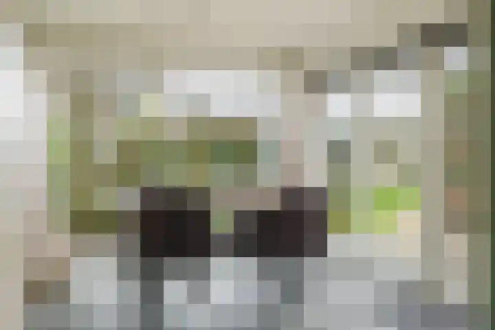 Aanstee 18 Klein Zundert thumbnail 26