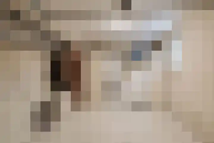 Aanstee 18 Klein Zundert thumbnail 33