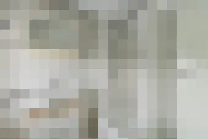 Aanstee 18 Klein Zundert thumbnail 37