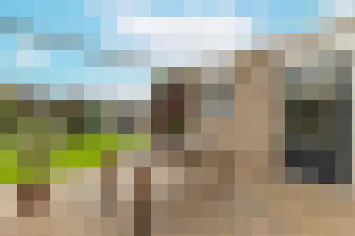 Aanstee 18 Klein Zundert thumbnail 40