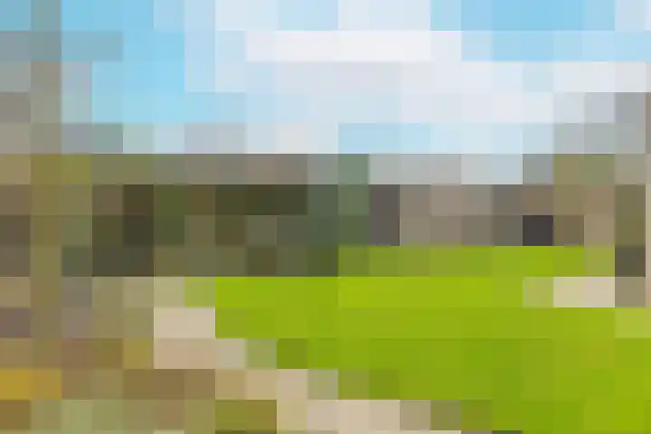 Aanstee 18 Klein Zundert thumbnail 42