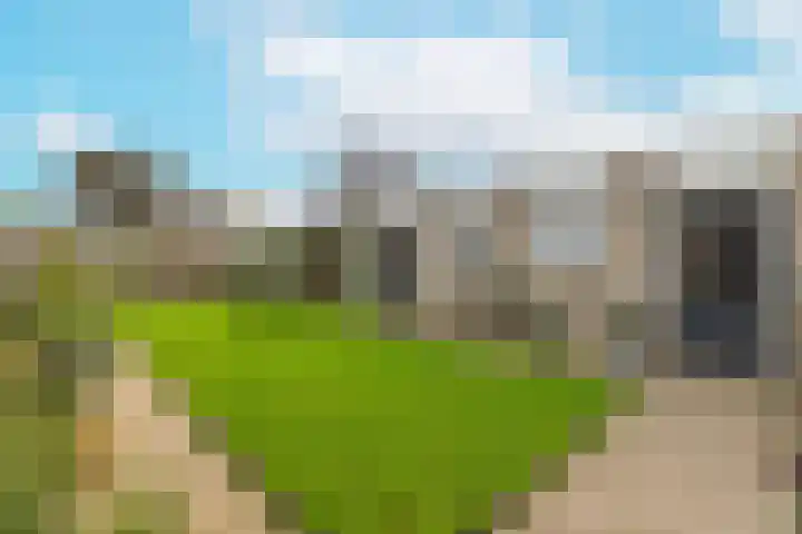 Aanstee 18 Klein Zundert thumbnail 44