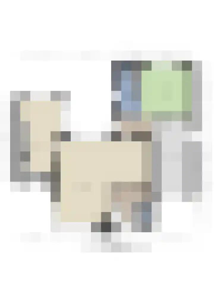 Aanstee 18 Klein Zundert thumbnail 47