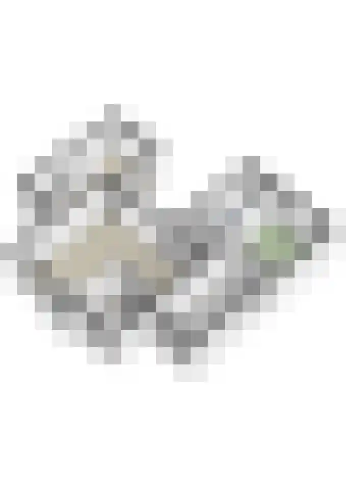 Aanstee 18 Klein Zundert thumbnail 48