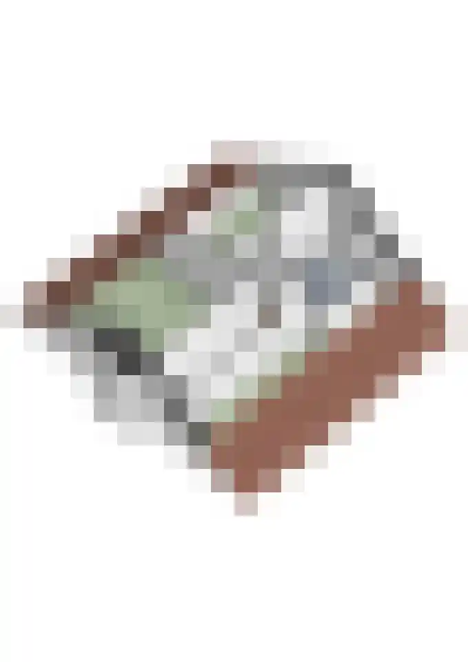 Aanstee 18 Klein Zundert thumbnail 50