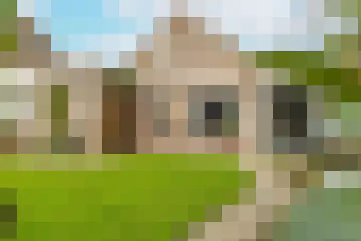 Aanstee 18 Klein Zundert thumbnail 8