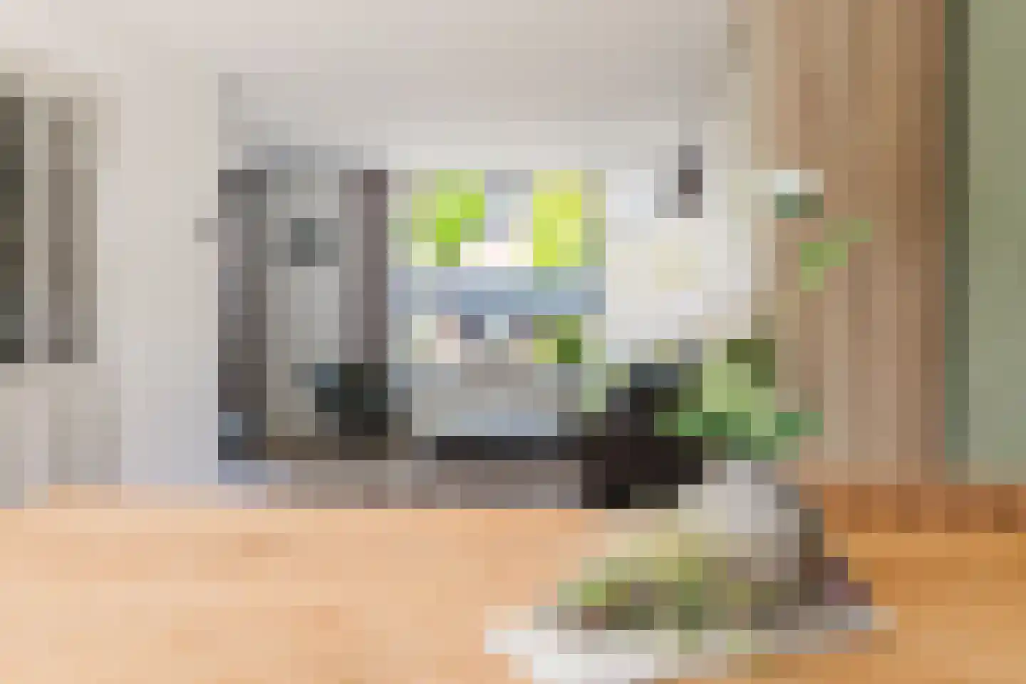 Aanstee 31 Klein Zundert thumbnail 13