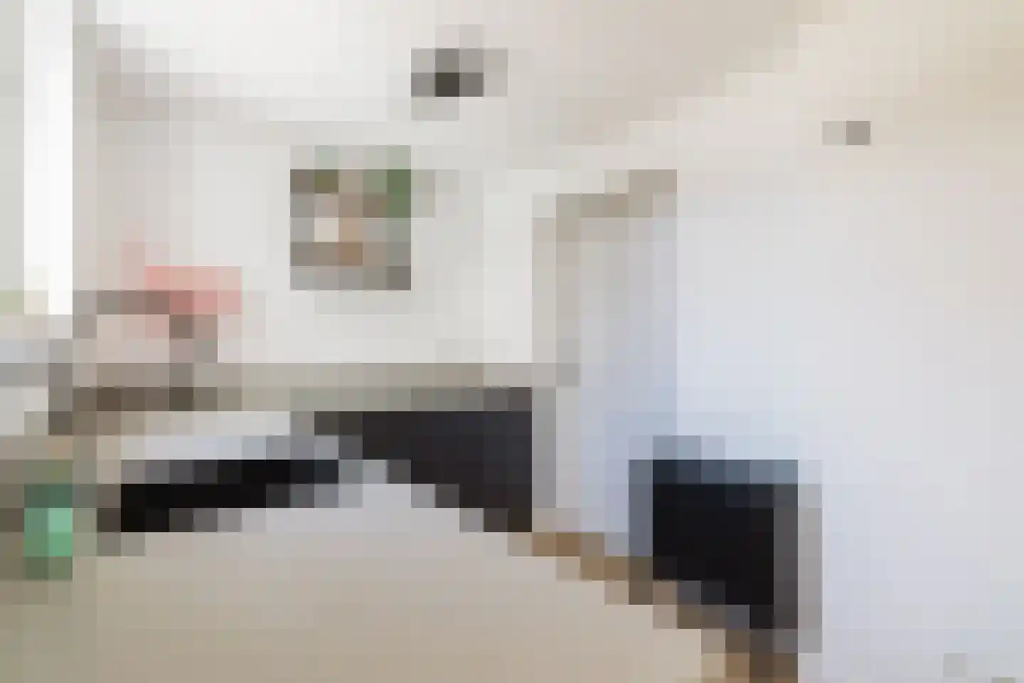 Aanstee 31 Klein Zundert thumbnail 23