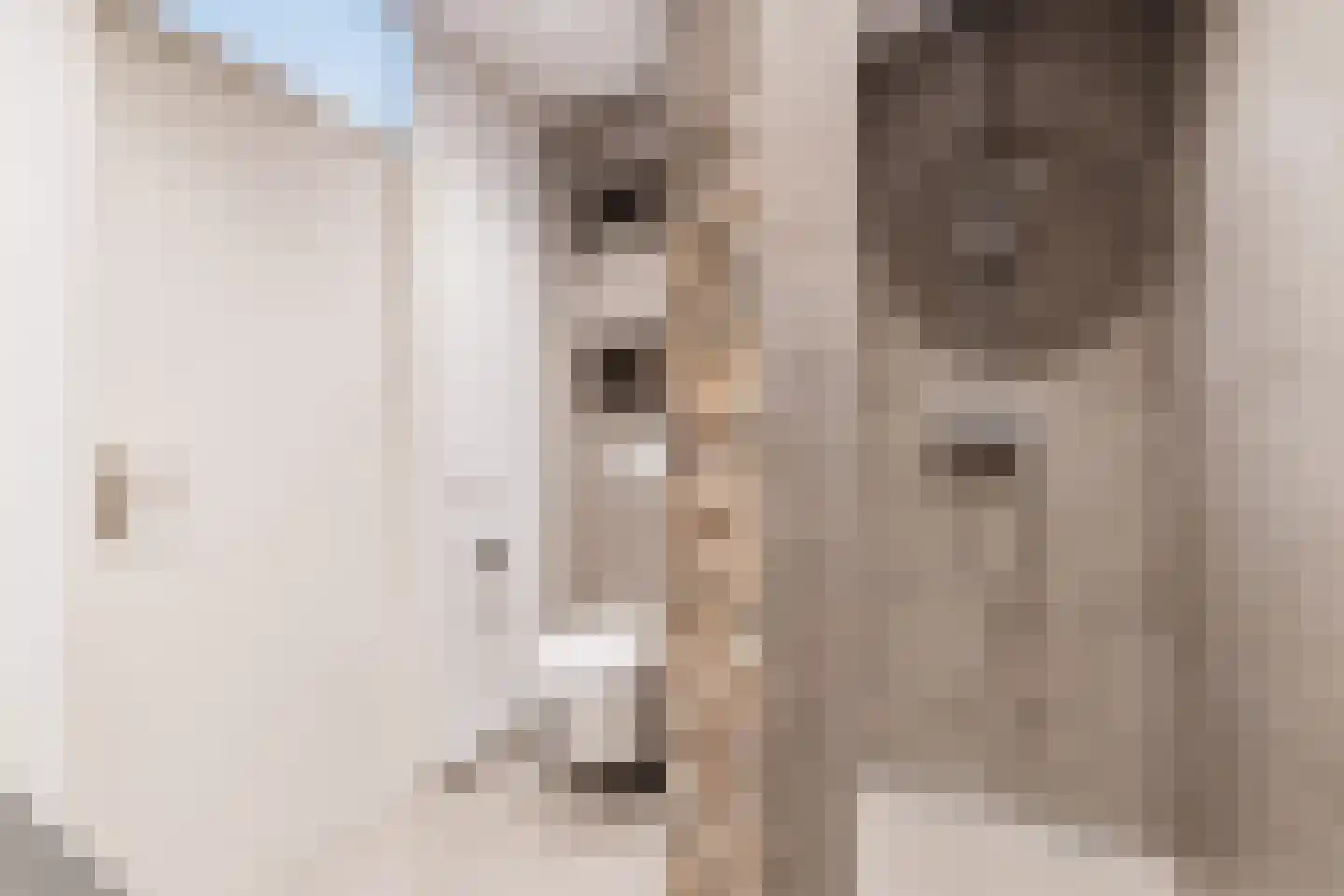 Aanstee 31 Klein Zundert thumbnail 33