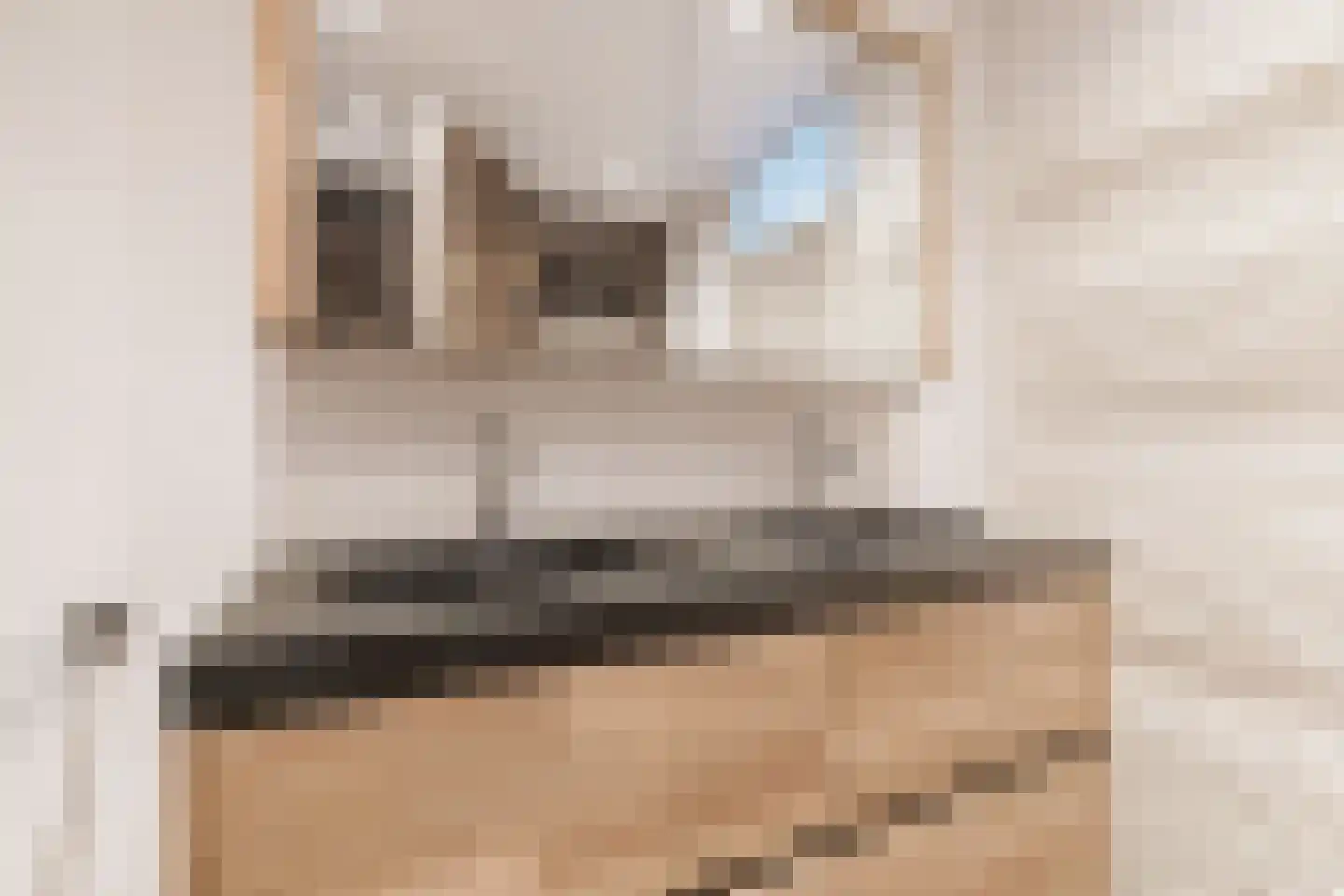 Aanstee 31 Klein Zundert thumbnail 34