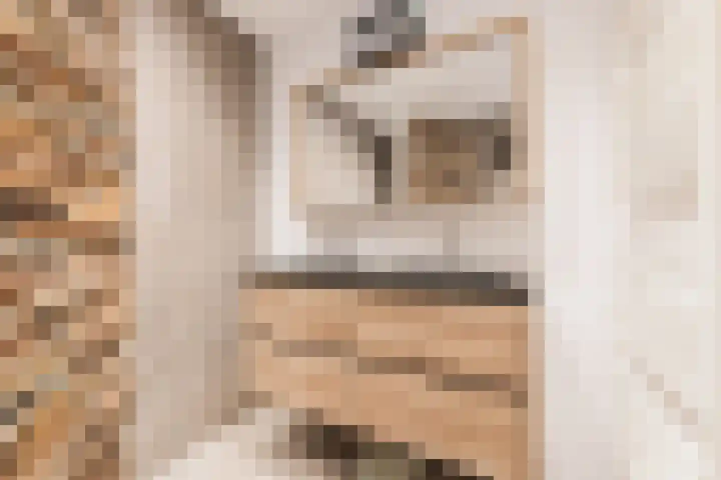 Aanstee 31 Klein Zundert thumbnail 4