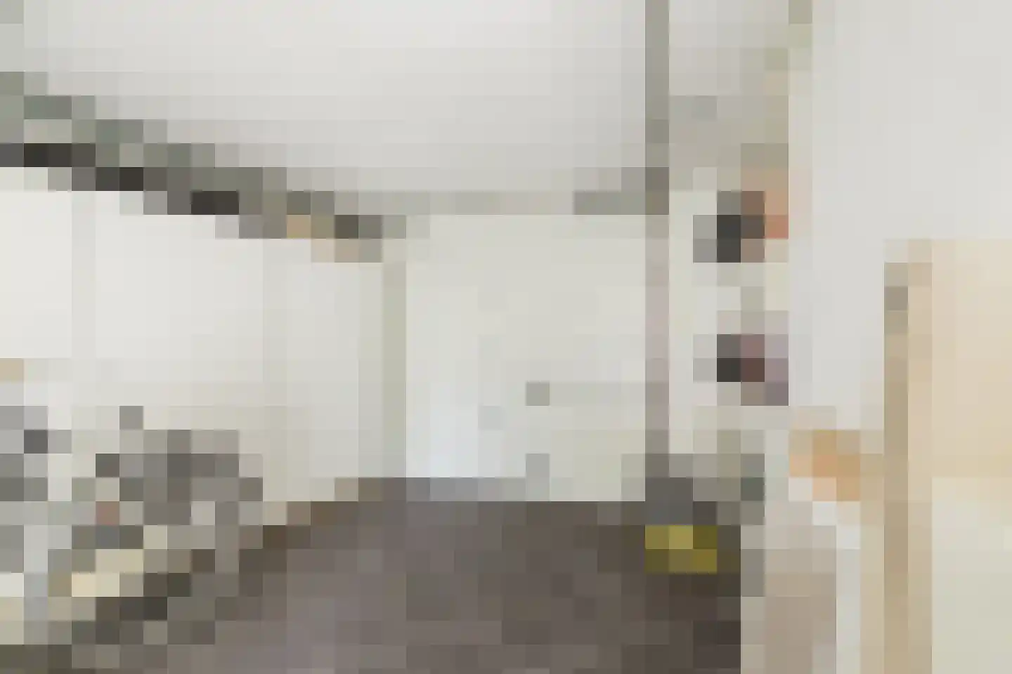 Aanstee 31 Klein Zundert thumbnail 40