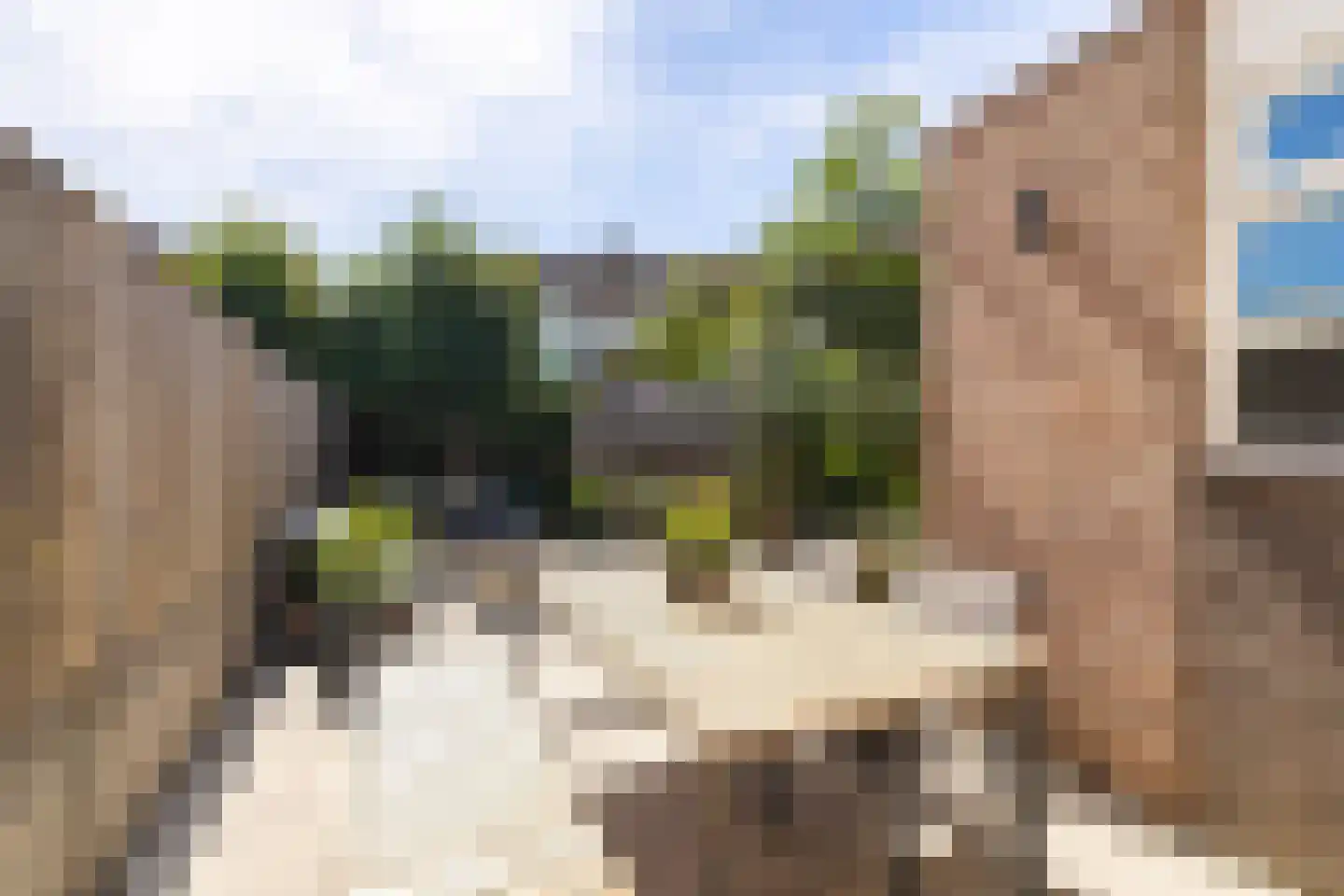 Aanstee 31 Klein Zundert thumbnail 42