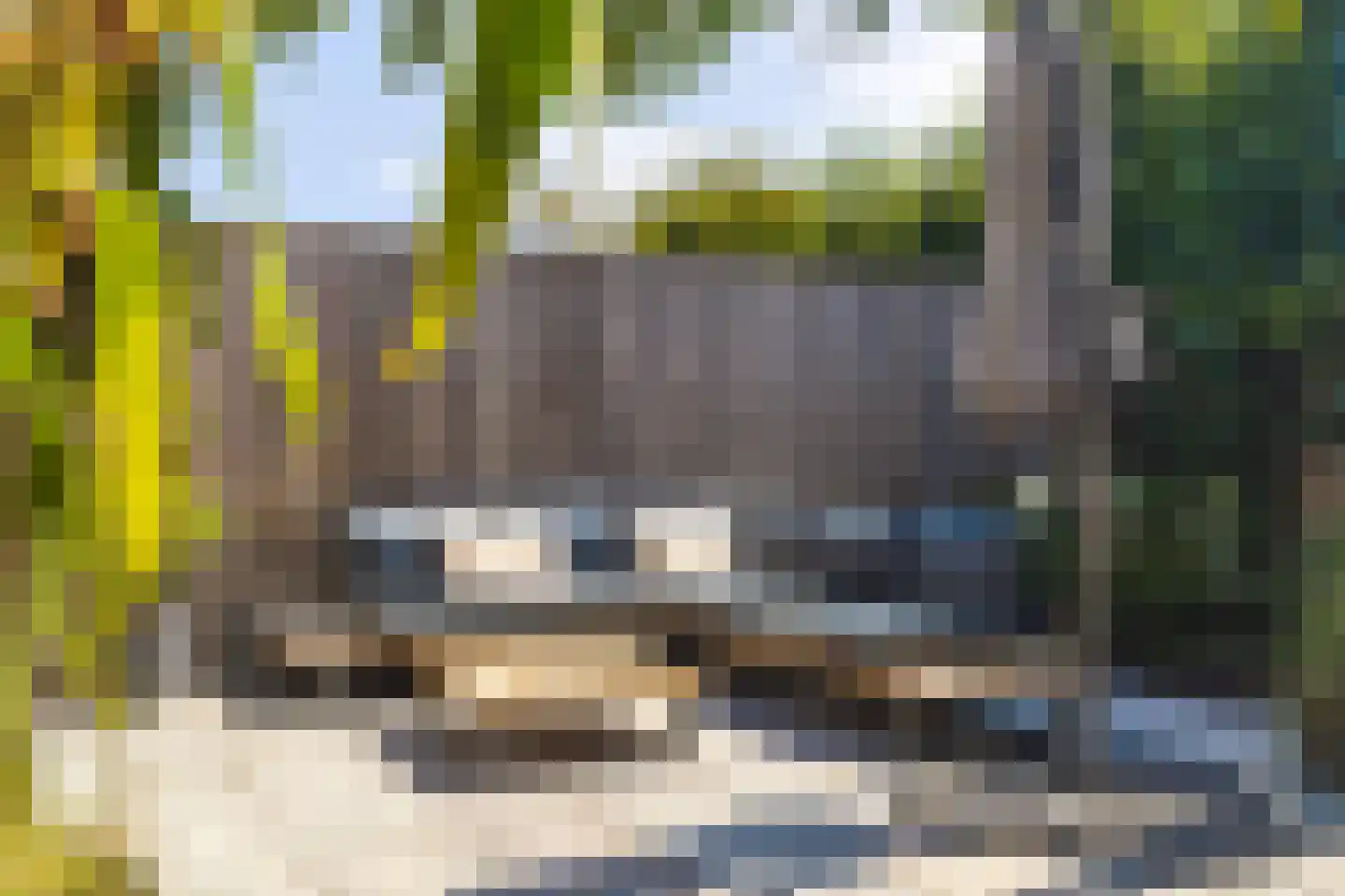 Aanstee 31 Klein Zundert thumbnail 45