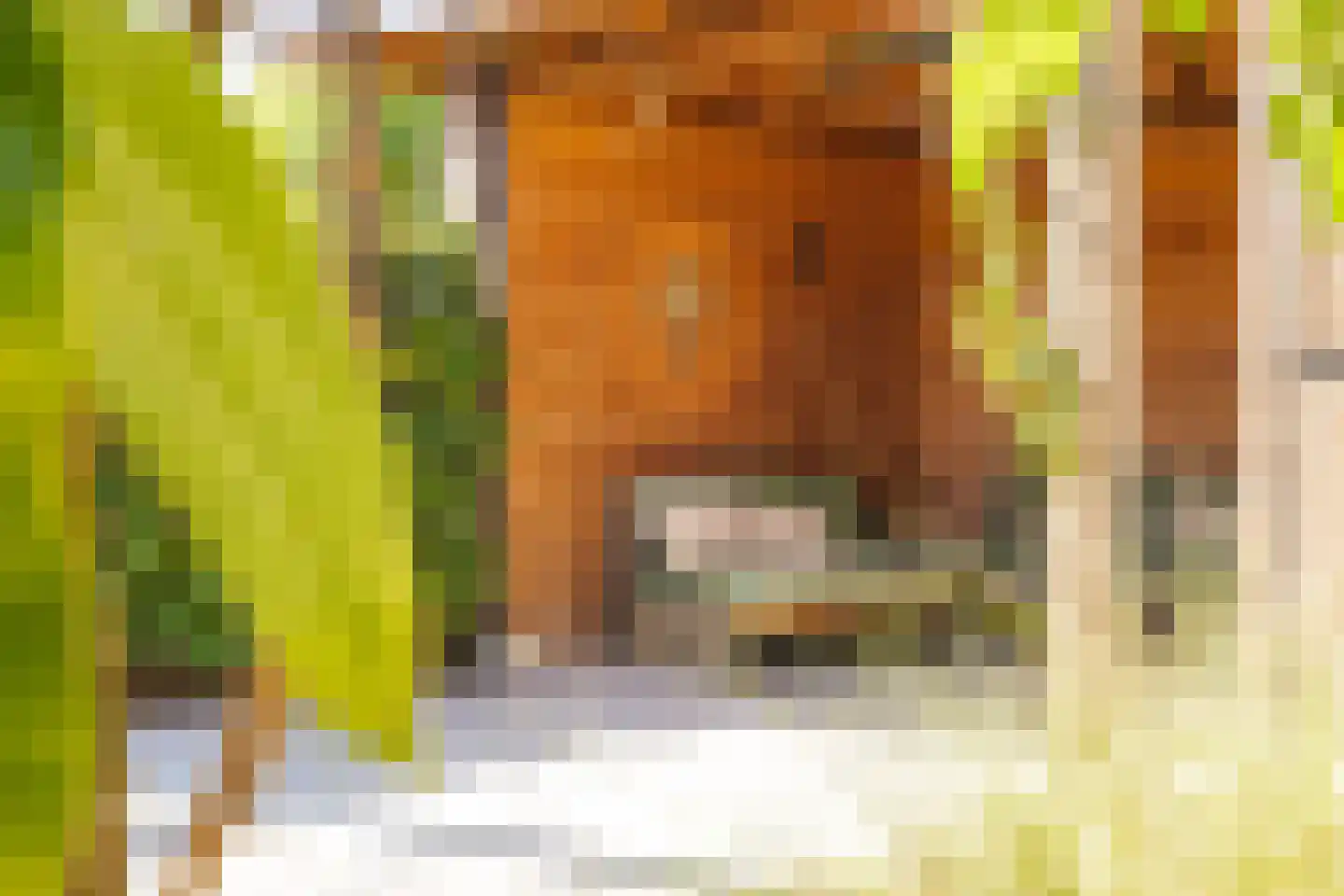 Aanstee 31 Klein Zundert thumbnail 48