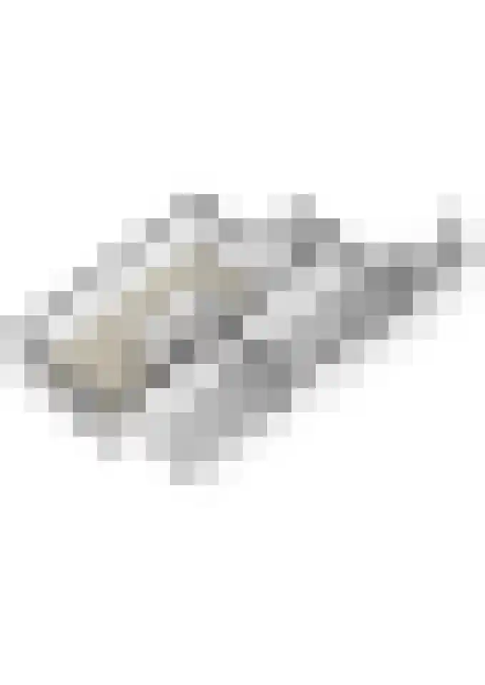 Aanstee 31 Klein Zundert thumbnail 58