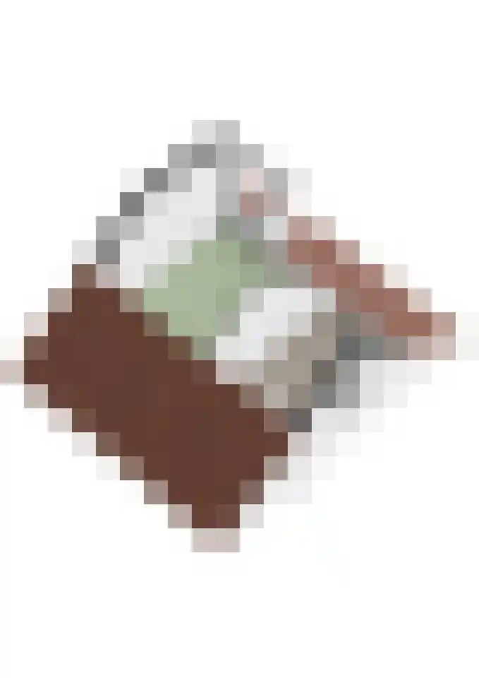 Aanstee 31 Klein Zundert thumbnail 60