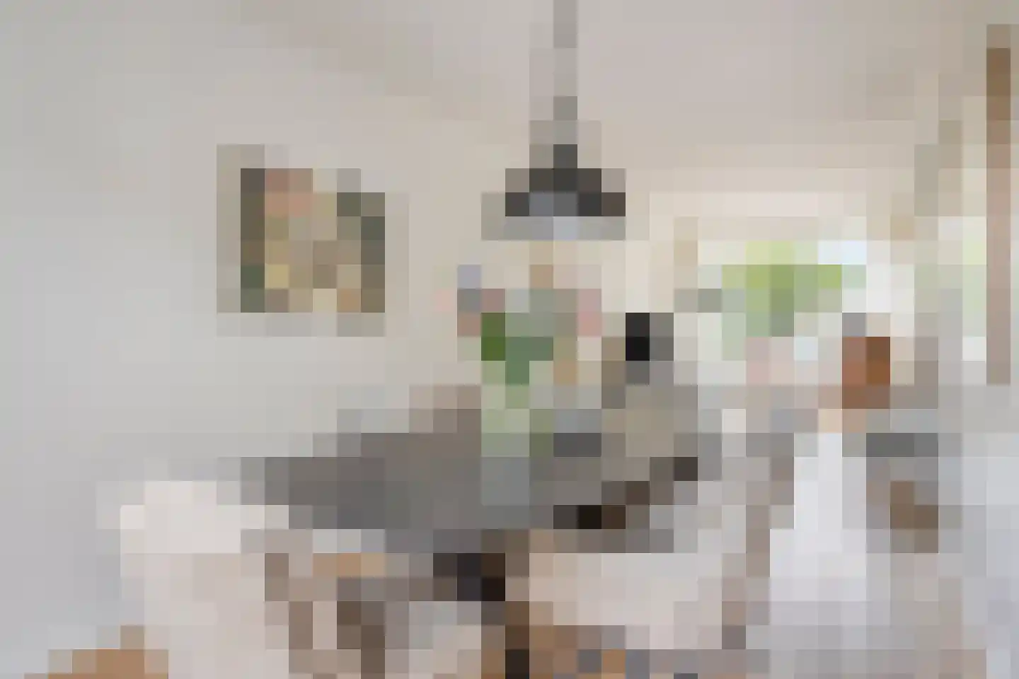 Aanstee 9 Klein Zundert thumbnail 12