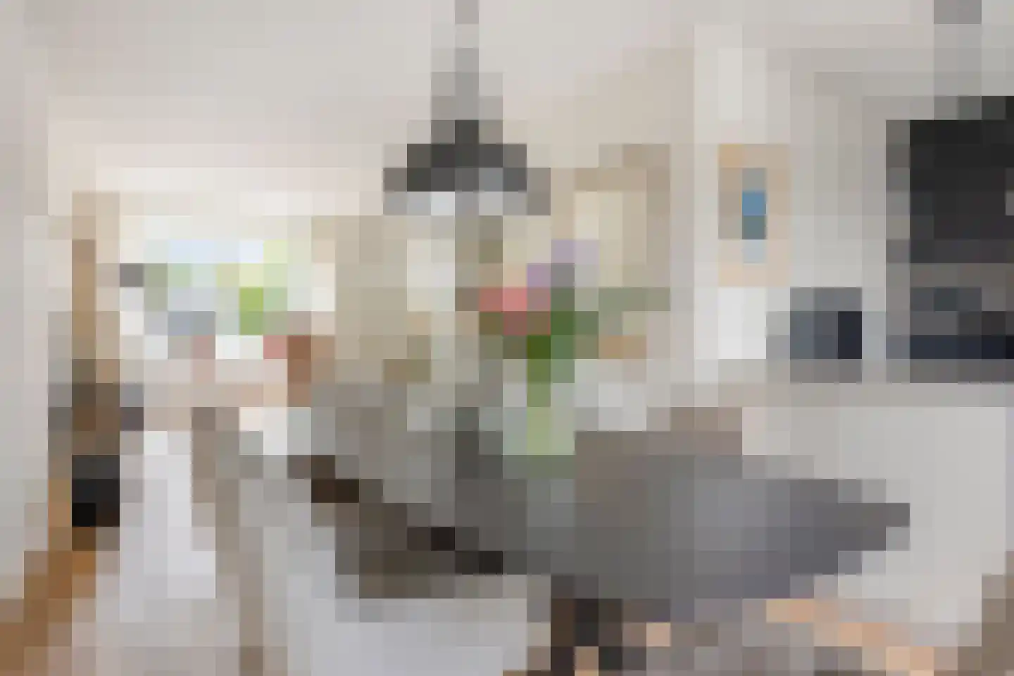 Aanstee 9 Klein Zundert thumbnail 13