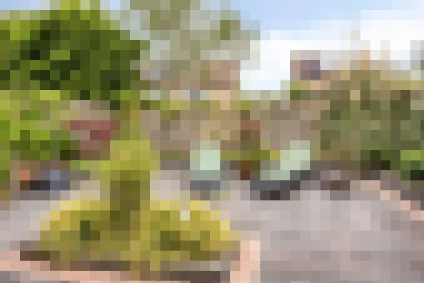 Aanstee 9 Klein Zundert thumbnail 34
