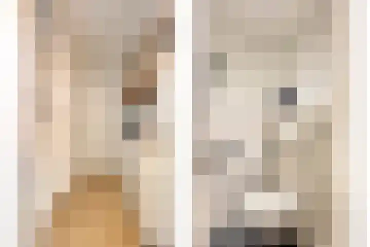 Aansteede 6 Goirle thumbnail 11