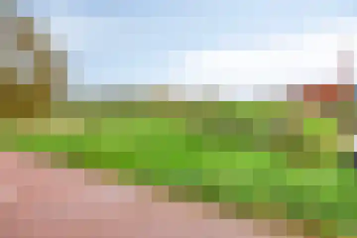 Aansteede 6 Goirle thumbnail 29