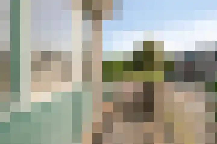 Aanwas 14 Ossendrecht thumbnail 20