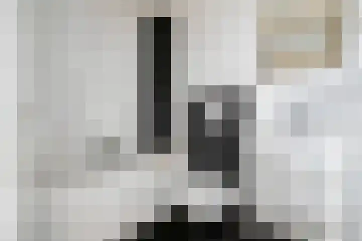 Aanwas 14 Ossendrecht thumbnail 25