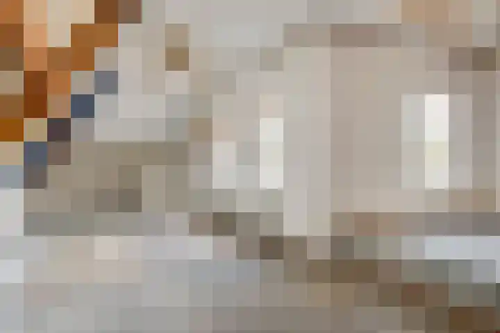 Aanwas 14 Ossendrecht thumbnail 34