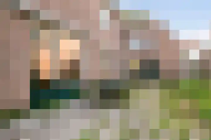 Aanwas 14 Ossendrecht thumbnail 38