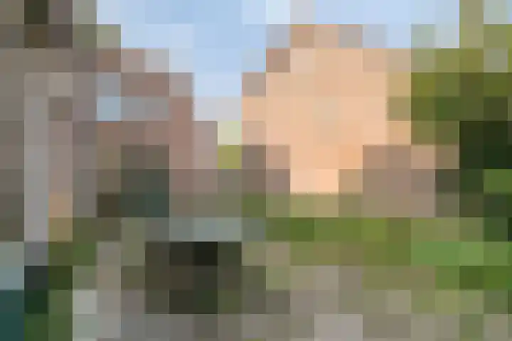 Aanwas 14 Ossendrecht thumbnail 39
