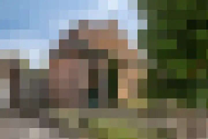 Aanwas 14 Ossendrecht thumbnail 41