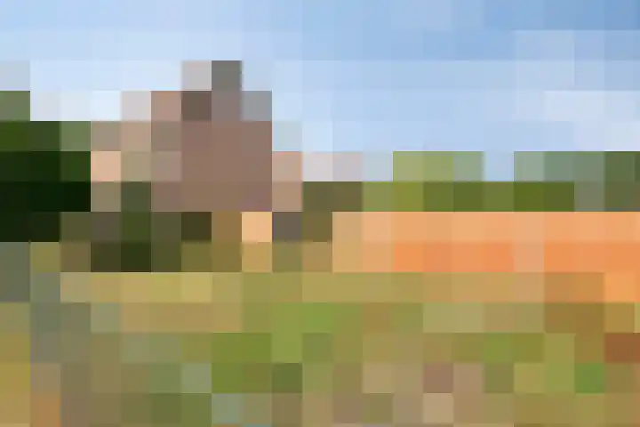 Aanwas 14 Ossendrecht thumbnail 45