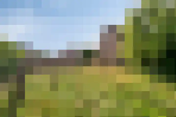 Aanwas 14 Ossendrecht thumbnail 50