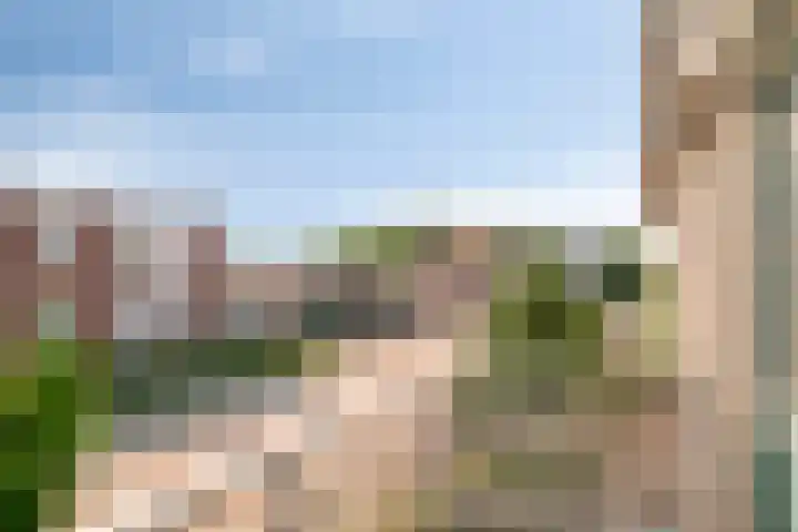 Aanwas 14 Ossendrecht thumbnail 6