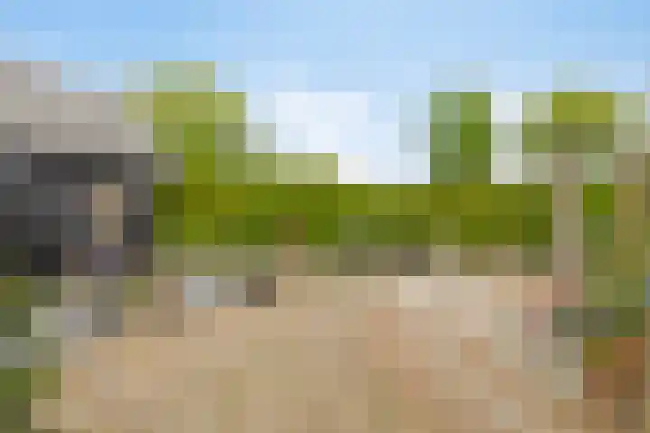 Aanwas 47 Ossendrecht thumbnail 34