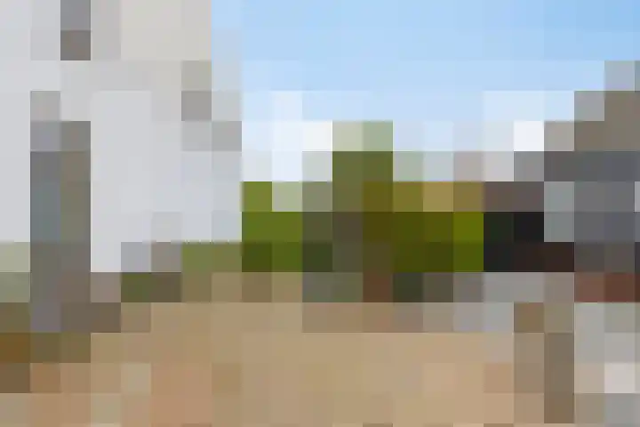 Aanwas 47 Ossendrecht thumbnail 35