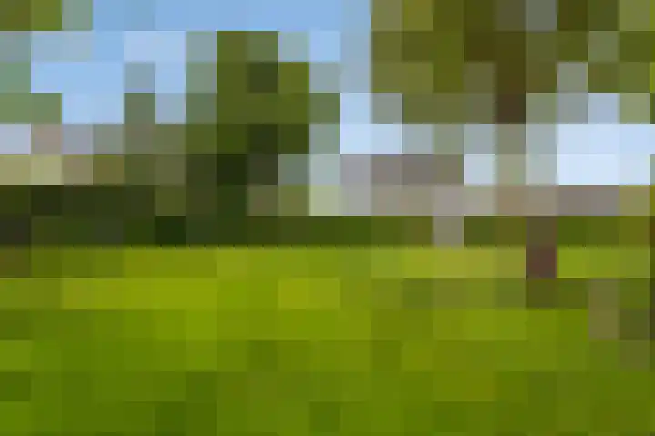 Aanwas 47 Ossendrecht thumbnail 39