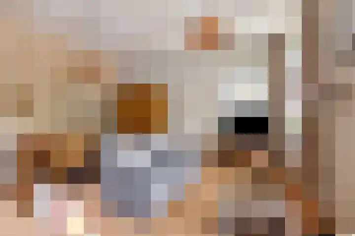 Aanwas 47 Ossendrecht thumbnail 4