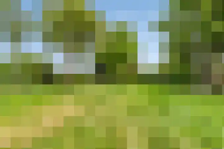 Aanwas 47 Ossendrecht thumbnail 40