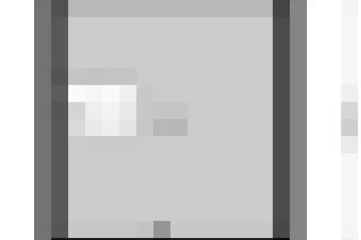 Aanwas 47 Ossendrecht thumbnail 50