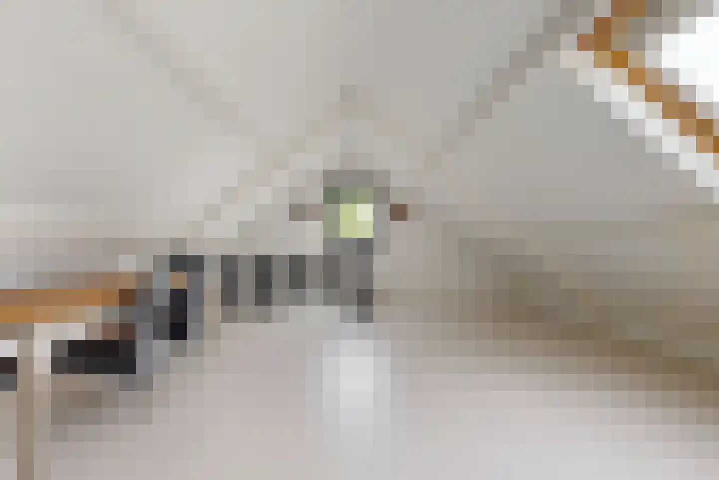 Aarbergerweg 8 Rijsenhout thumbnail 37