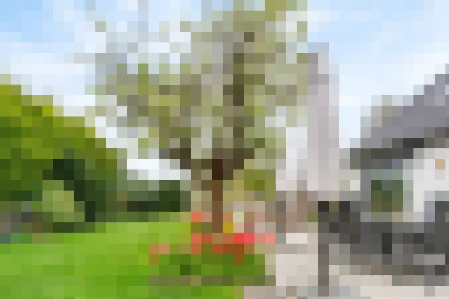 Aarbergerweg 8 Rijsenhout thumbnail 38