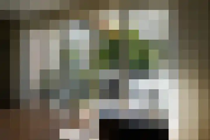 Aardaker 11 Gulpen thumbnail 12