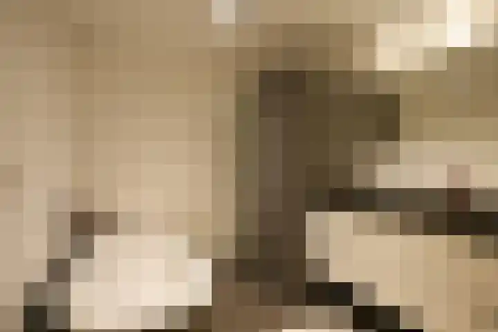 Aardaker 11 Gulpen thumbnail 14